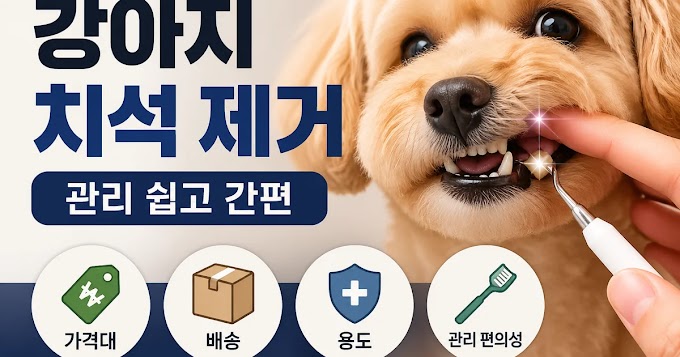 강아지 치석 제거 고를 때 꼭 봐야 할 기준
