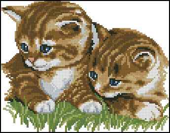 CMP 400086 Cats