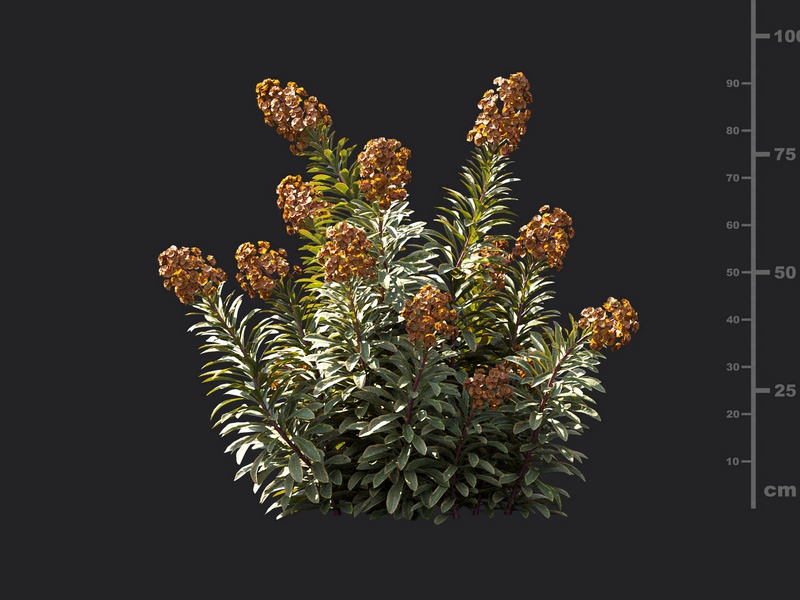 Maxtree - Plant Models Vol.119