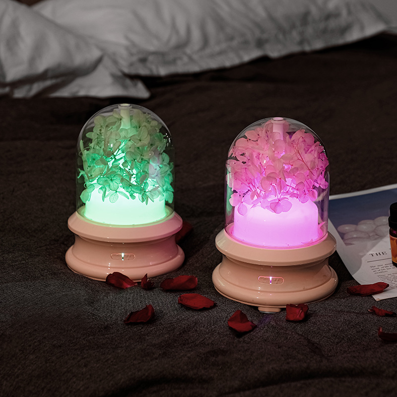 Aroma diffuser with LED light and spray function