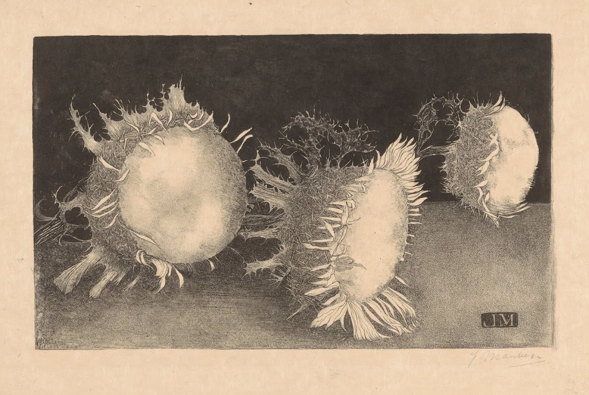 Drie distelbloemen 1915