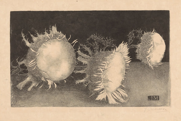 Drie distelbloemen 1915