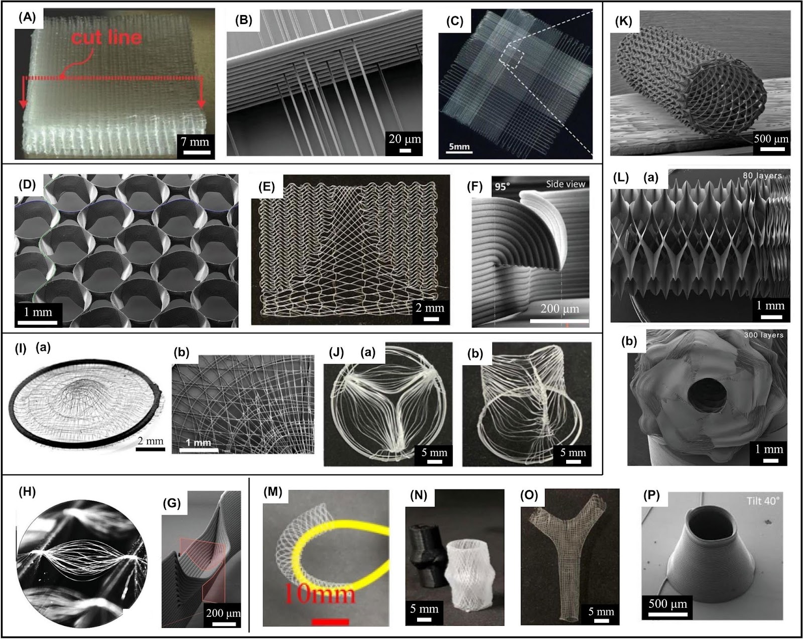 Rational Design and Functionalization of Melt Electrowritten 4D Scaffolds for Biomedical Applications