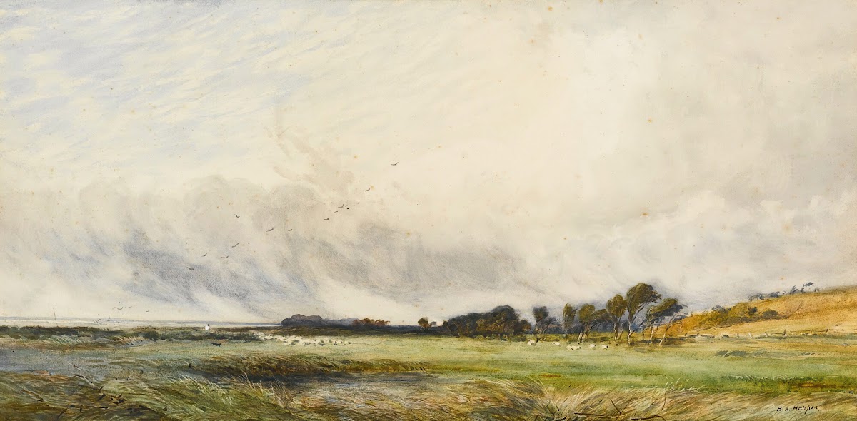 Sheep Grazing By The Coast