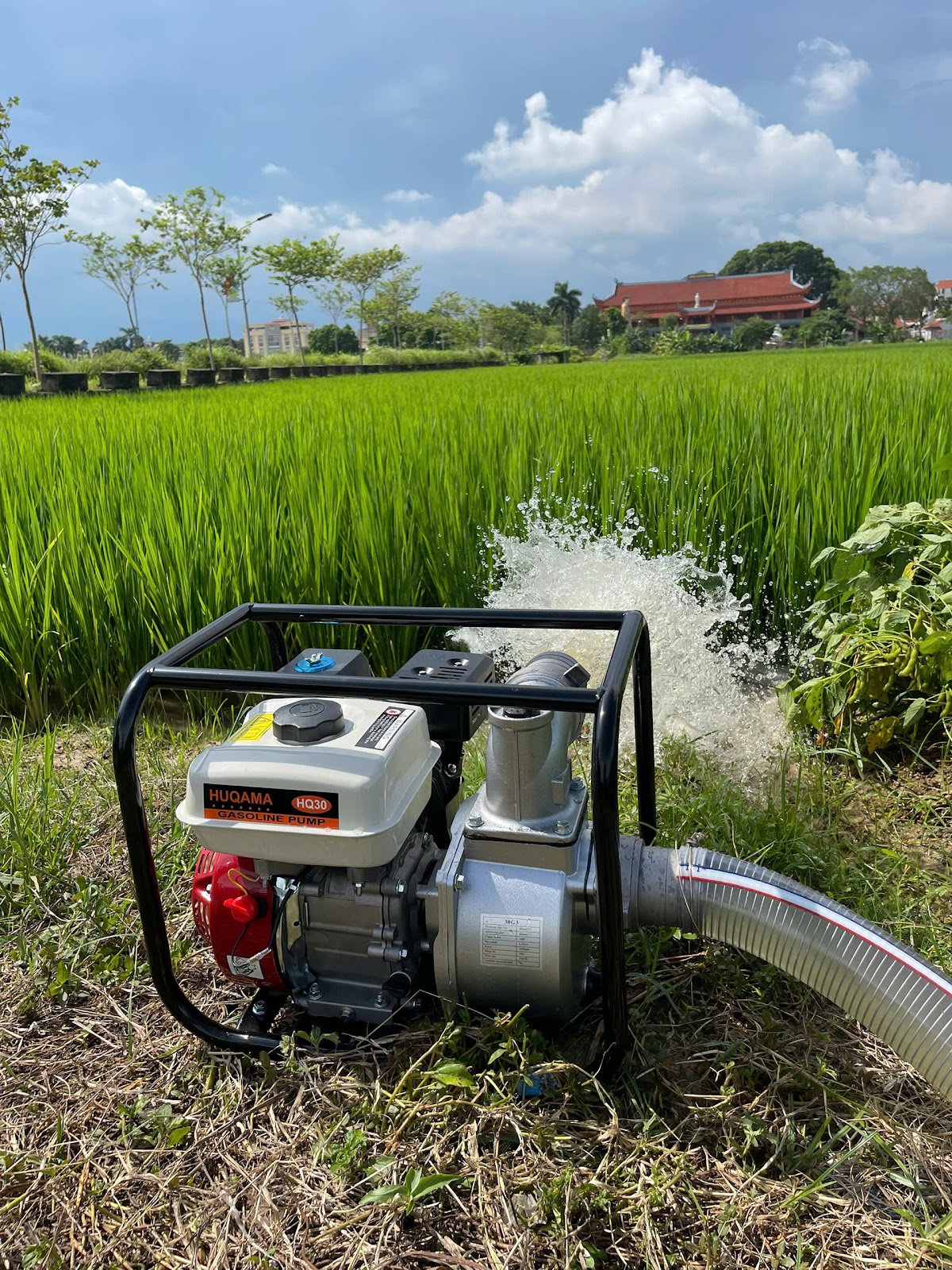 MÁY BƠM NƯỚC CHẠY XĂNG 2.5HP Màu xanh thumbnail 2