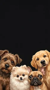 Professional Chef Plating Gourmet Dish