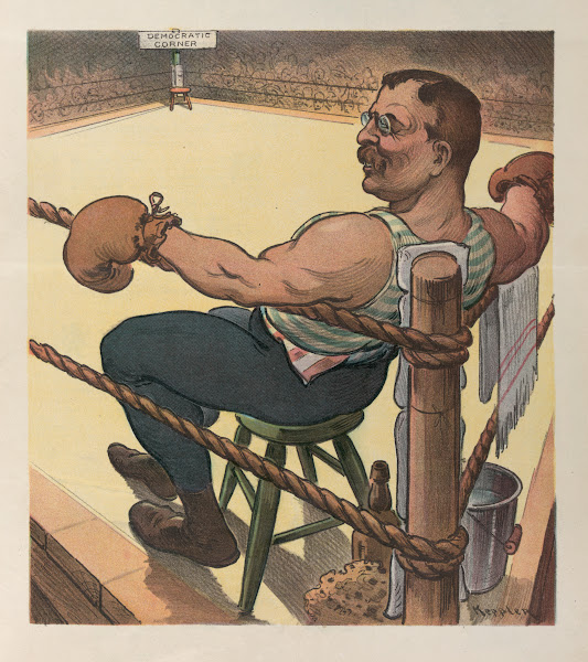 Terrible Teddy waits for the unknown 1904