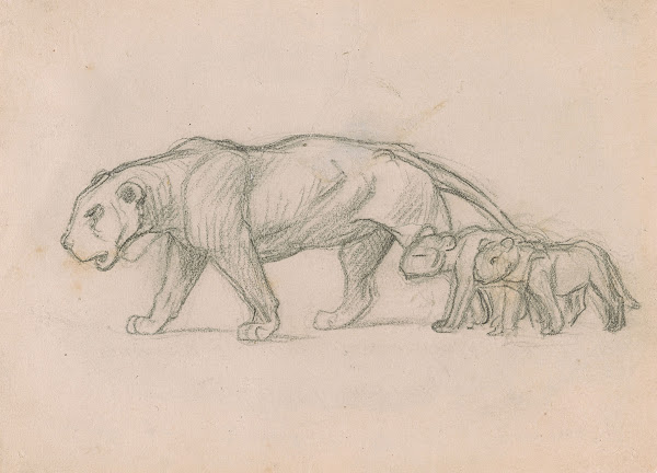 Lioness and her Cubs 1899