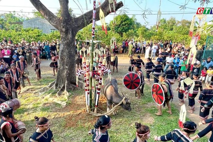 'Lễ mừng chiến thắng' của người Jrai làng Bẹk - Báo Gia Lai