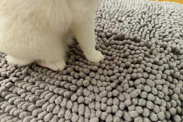 La textura de la alfombra de arena CatGuru con un gato encima