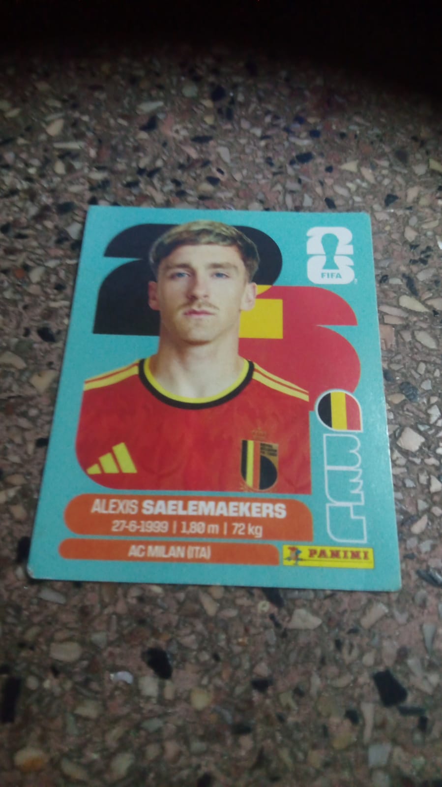 Saelemaekers
