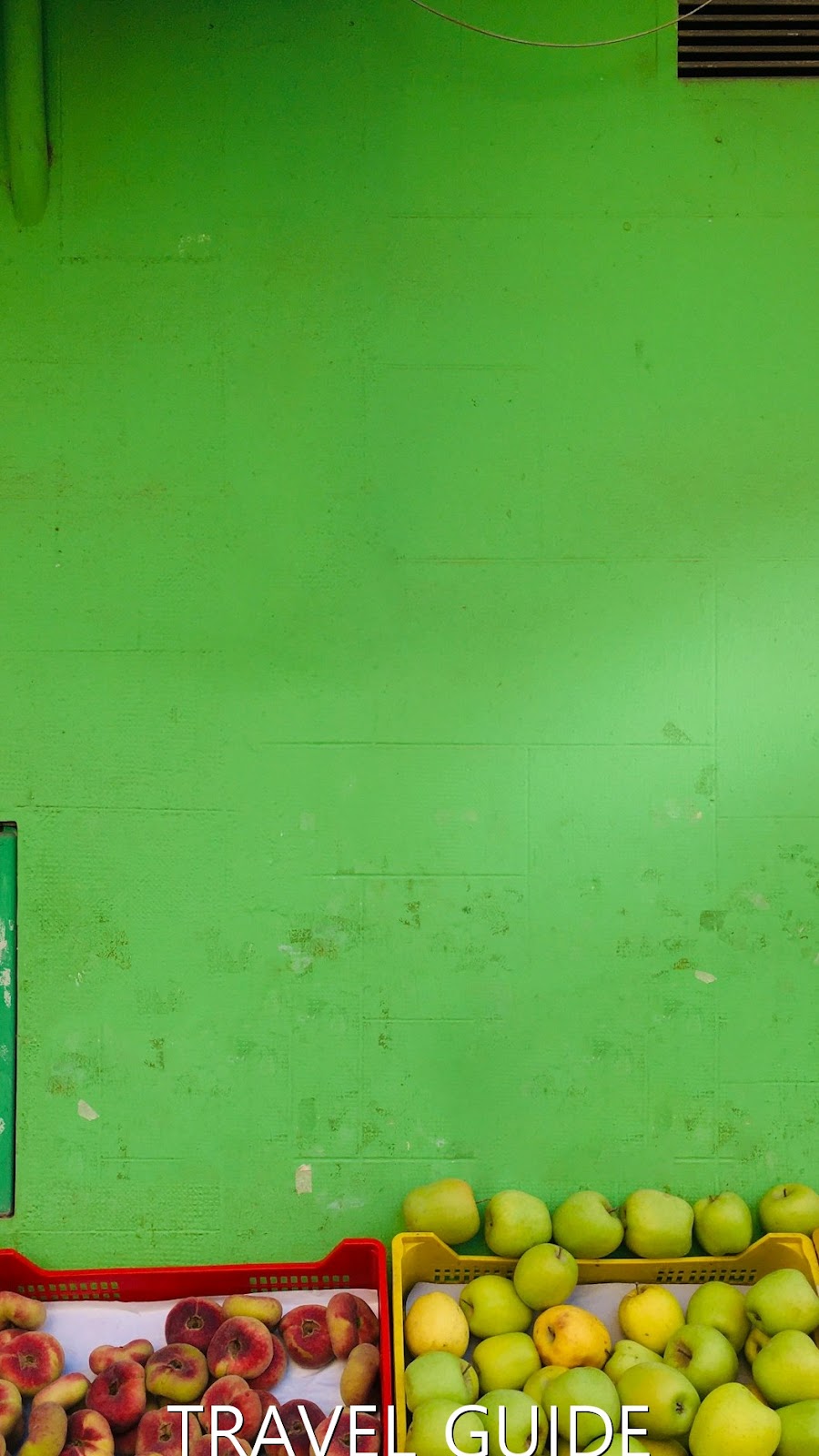 현지인만 아는 '오징어 고르는 법' & '바가지 탈출 팁'