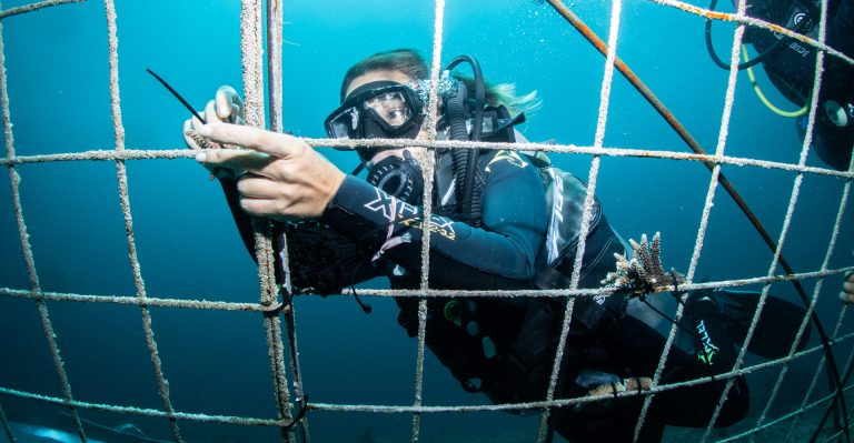 Diver Coral restoration PadangBai Bali. Coral restoration bali, coral planting bali, Padangbai’s coral reef ecosystem. CarbonEthics Indonesia