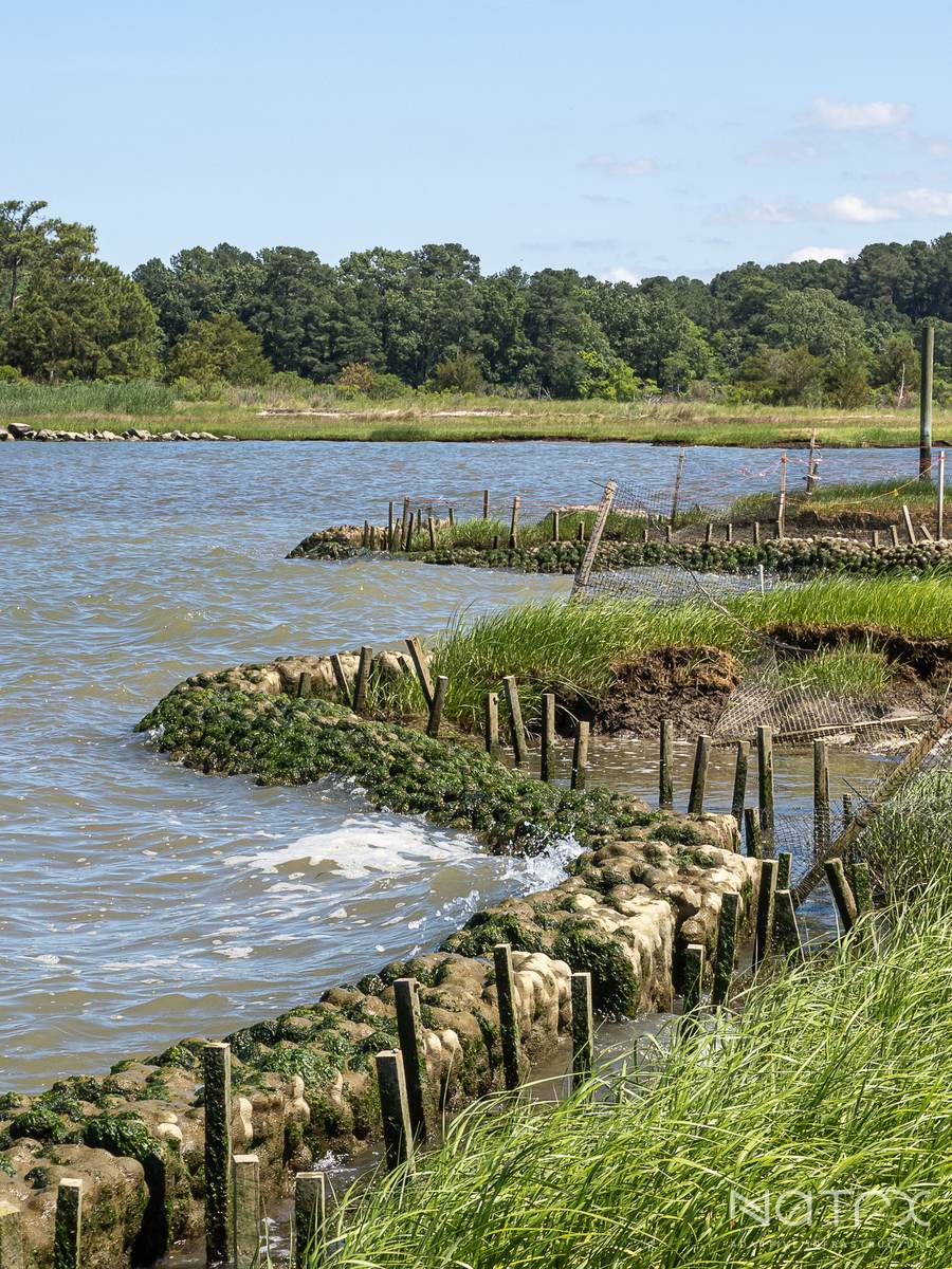 Hoffler 052124 4.jpg