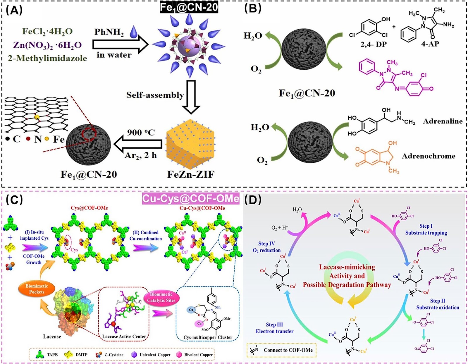 Exploring Single-Atom Nanozymes Toward Environmental Pollutants: Monitoring and Control