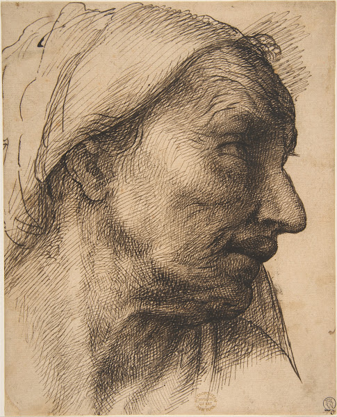 Head Of An Old Woman 14851547