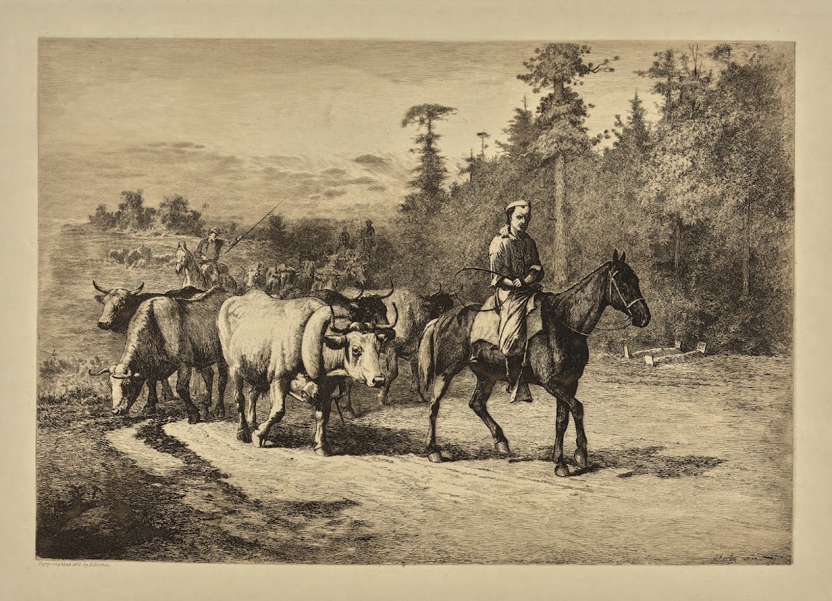 The leader of the herd 1876