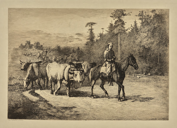 The leader of the herd 1876