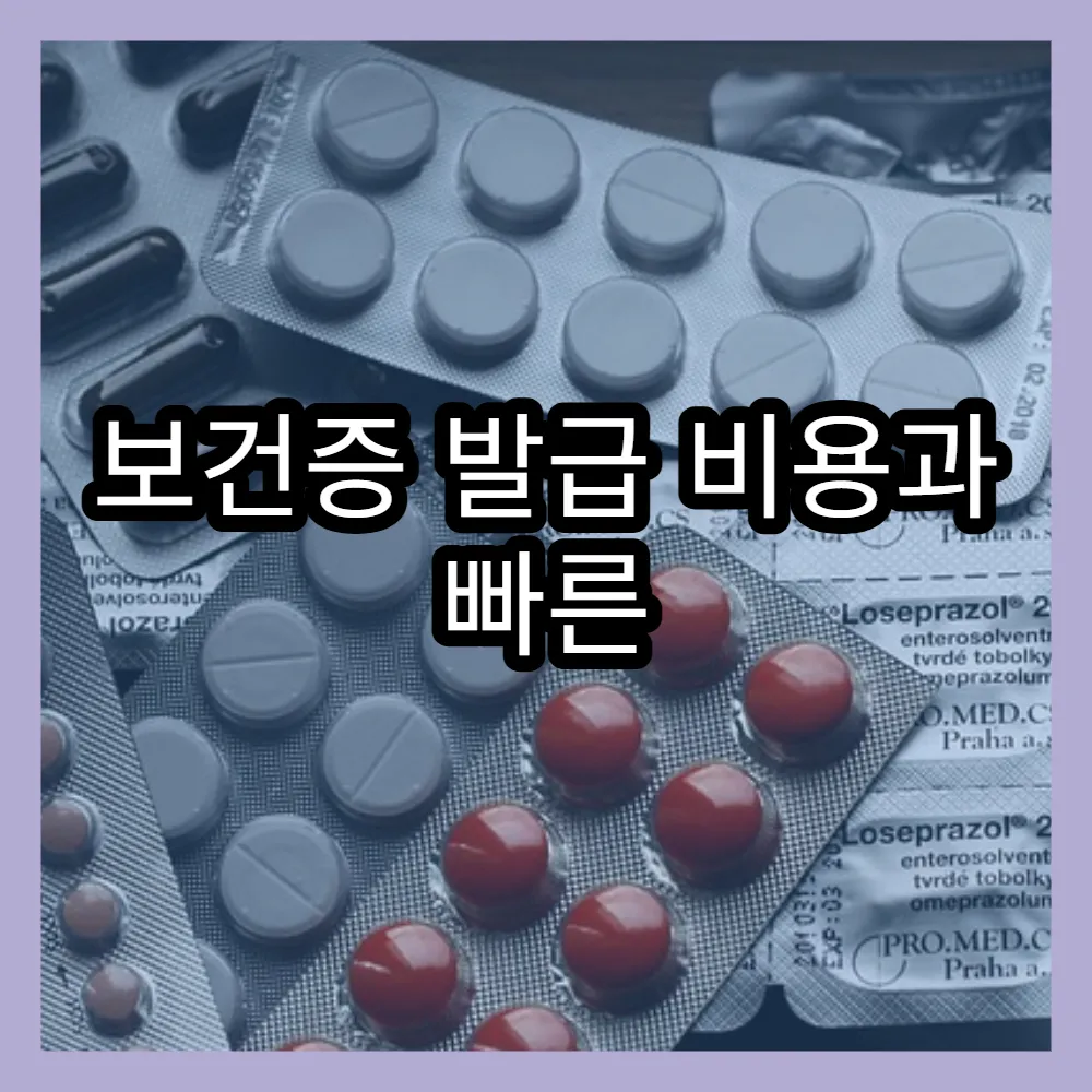 보건증 발급 비용과 빠른 신청 전략