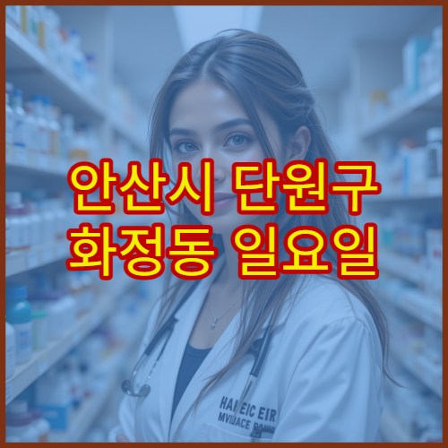 안산시 단원구 화정동 일요일 약국 당번약국 위치 확인 및 운영 정보 안내