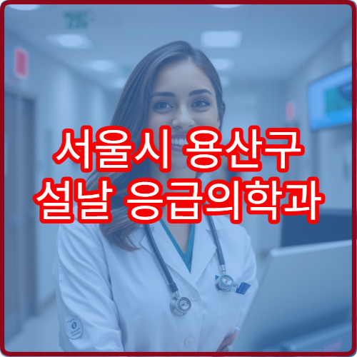 서울시 용산구 설날 응급의학과 휴일 진료 병원 응급상황·외상 즉시 대응