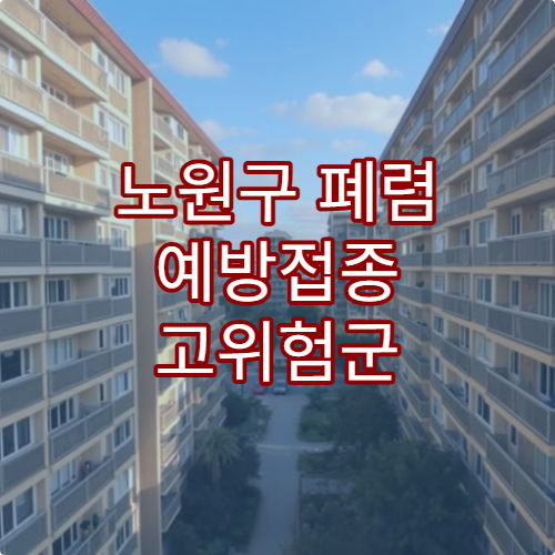 노원구 폐렴 예방접종 고위험군 접종 시기 병원 안내