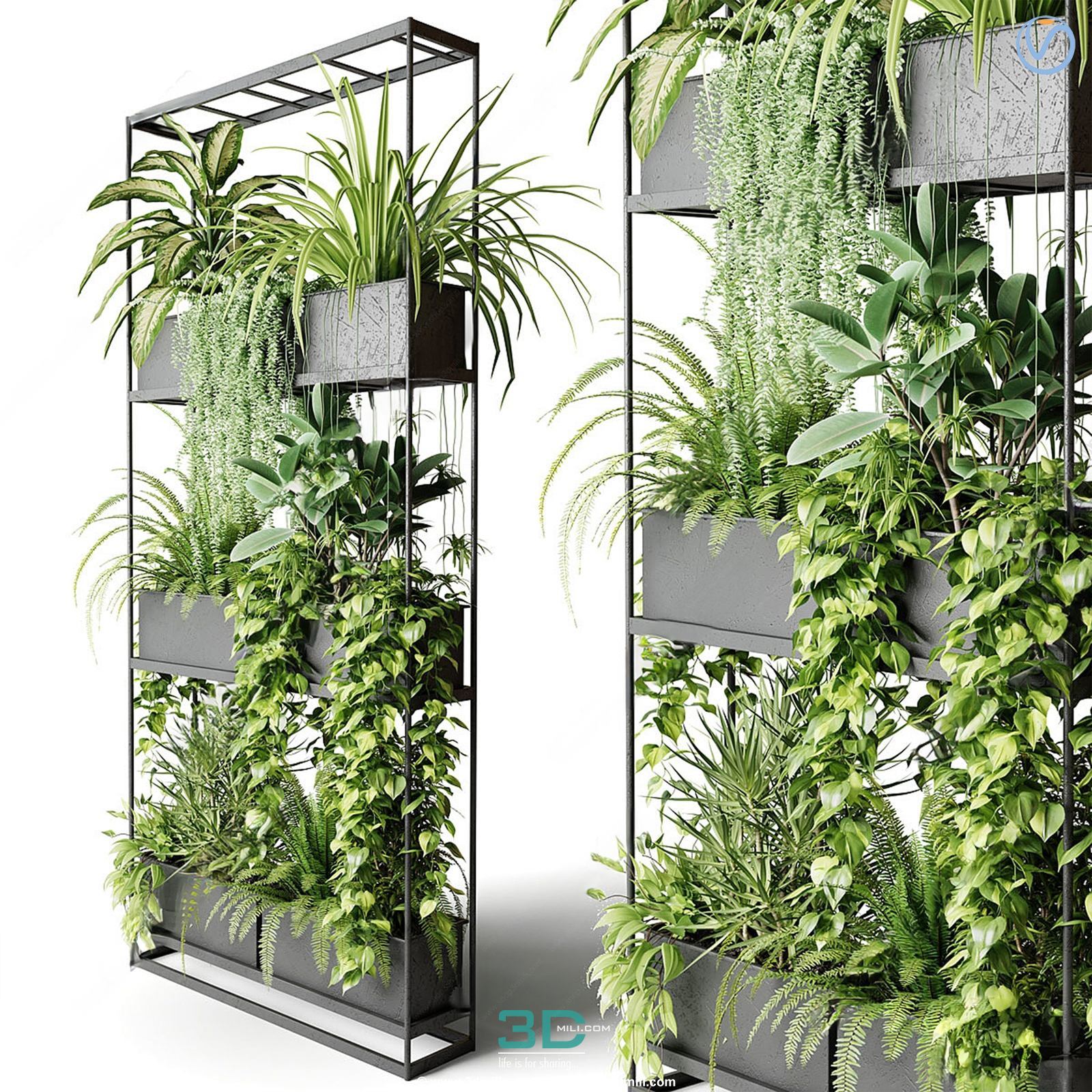 978.Sell Album Indoor Plant PRO Vol 01
