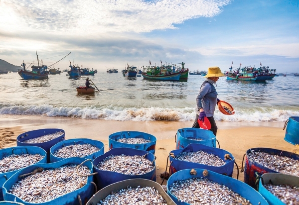 Công nghệ gìn giữ tài nguyên biển - Trách nhiệm của cộng đồng