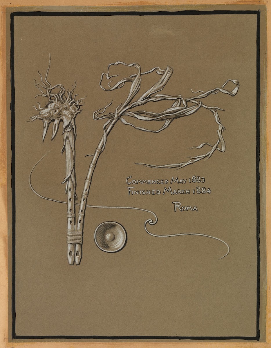 Artists Signature 1883 1884