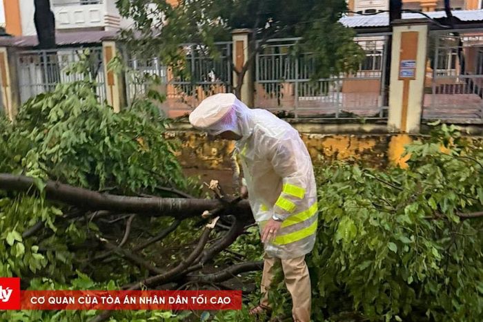 Lốc xoáy càn quét, nhà tốc mái, cây bật gốc ngổn ngang ở Đắk Lắk - Báo Công Lý