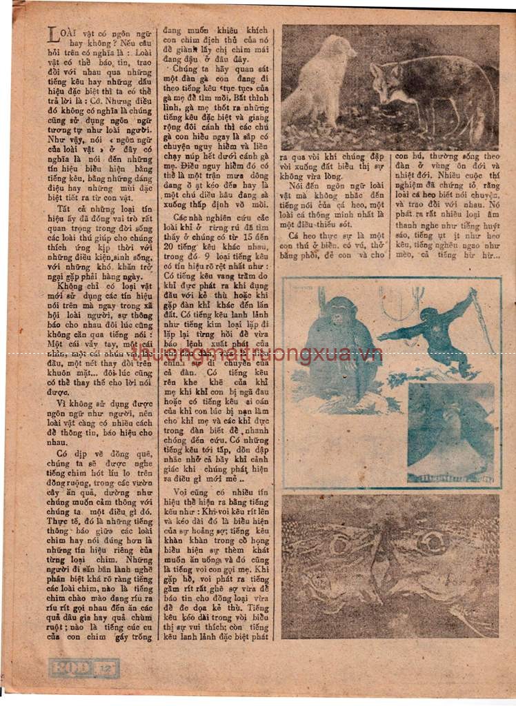 Tuyển tập thơ văn : Nữ sinh (số 9 - 1994) - Trang 12