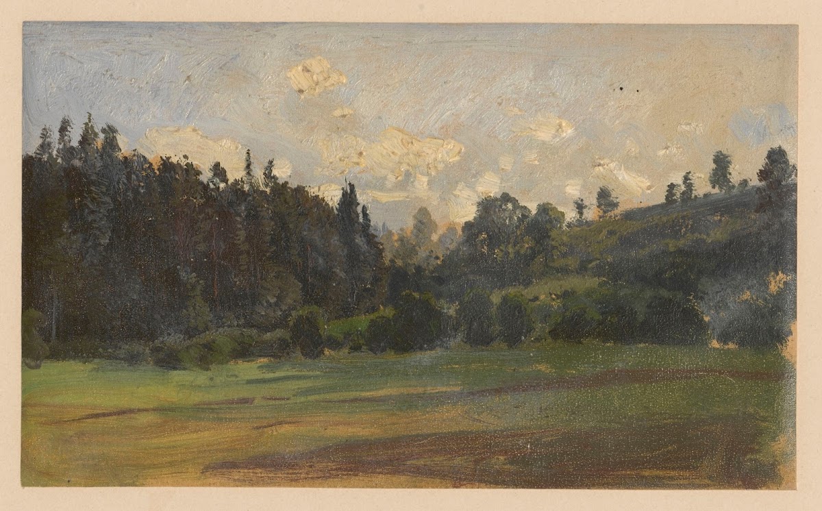 View of the verge of a forest in Książ 1850 1881