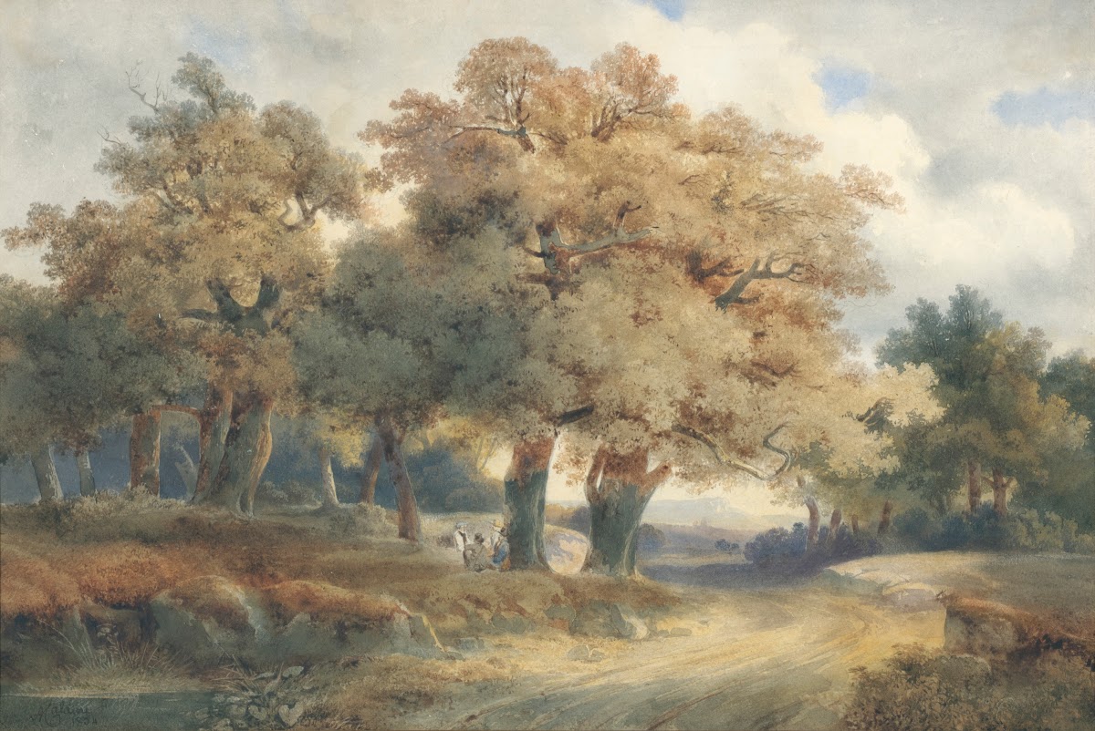 Trees Tracks And Figures 1834