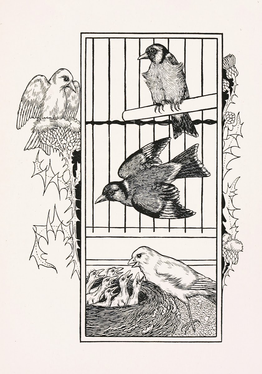 A hundred anecdotes of animals pl 084 1901