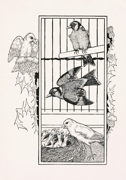 A hundred anecdotes of animals pl 084 1901