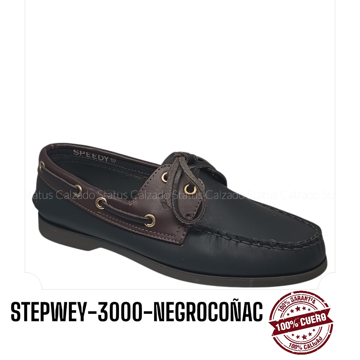 STEPWAY-3000-NEGROCOÑAC