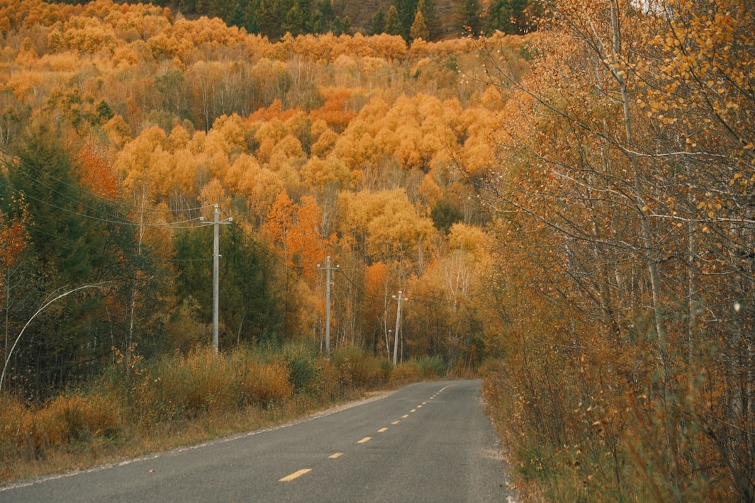 2026 포천 온천: 서울 근교 럭셔리 힐링 가이드