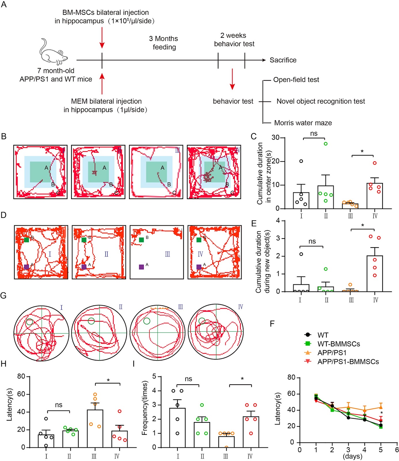 Bone marrow mesenchymal stem cells derived cytokines associated with AKT/IAPs signaling ameliorate Alzheimer’s disease development