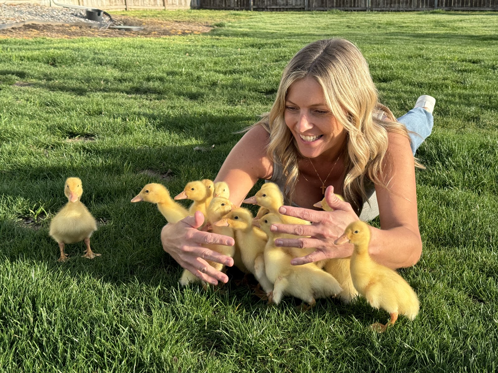 Pekin Grimaud Hybrid