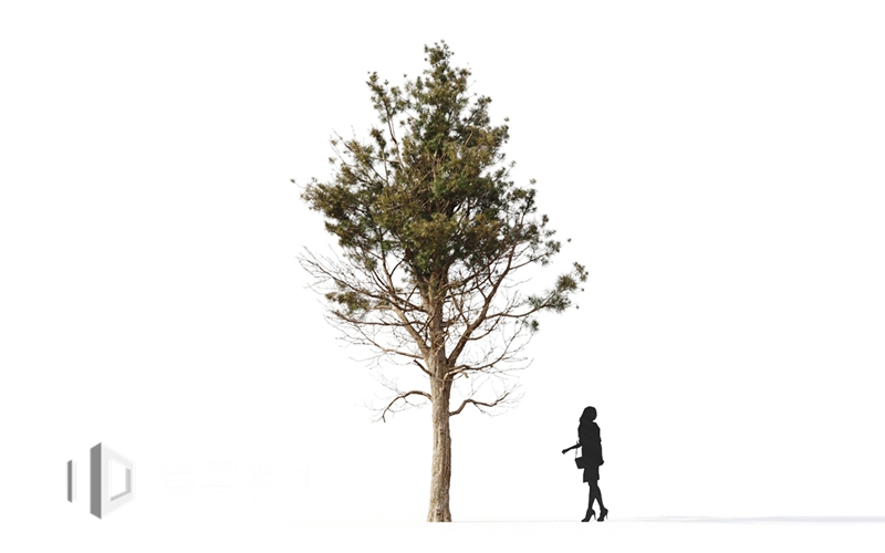 Maxtree - Plant Models Vol.9