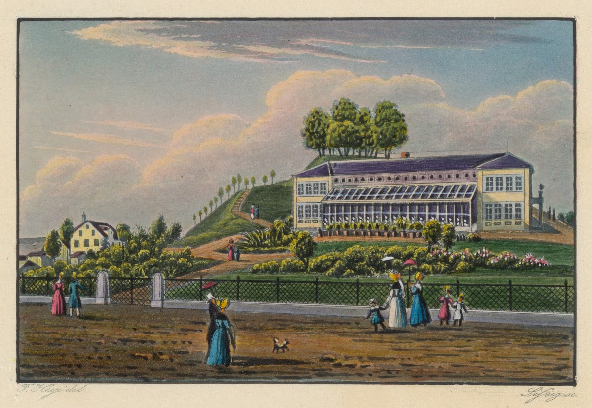 Botanischer Garten in Zürich 1915 1945