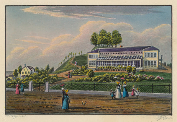 Botanischer Garten in Zürich 1915 1945