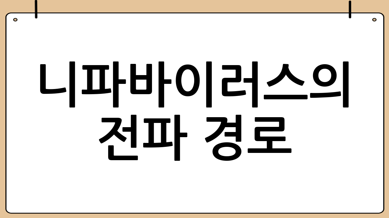 니파바이러스의 전파 경로: 어디서, 어떻게 감염되나