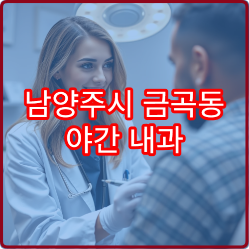 남양주시 금곡동 야간 내과 두통 어지럼증 진료 병원 정보