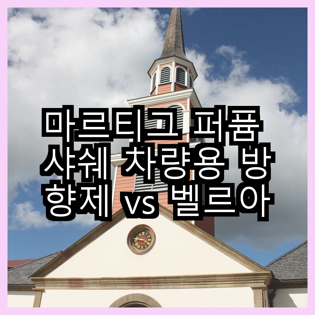 마르티그 퍼퓸 샤쉐 차량용 방향제 vs 벨르아망 에어도넛 리필, 어떤 향기가 더 매력적일까? 썸네일