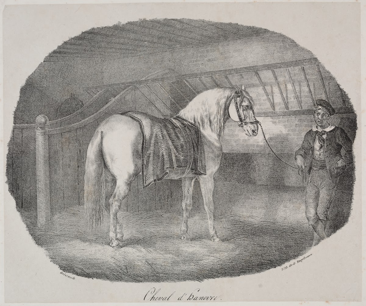 Horse from Hanover 1822