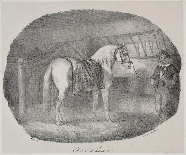 Horse from Hanover 1822