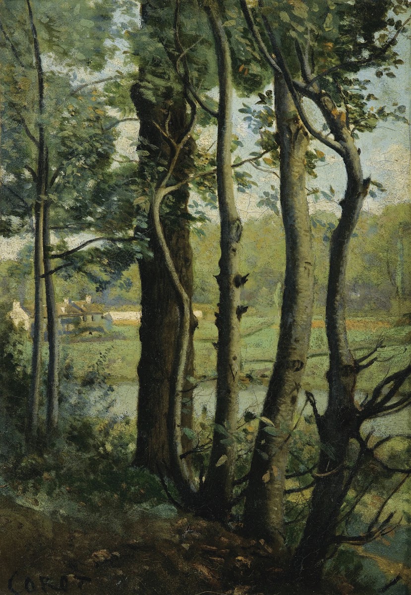 Les Evaux près Château Thierry chemin bordé darbres