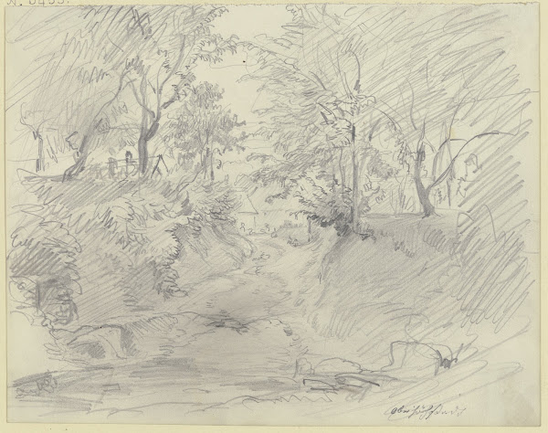 Ravine