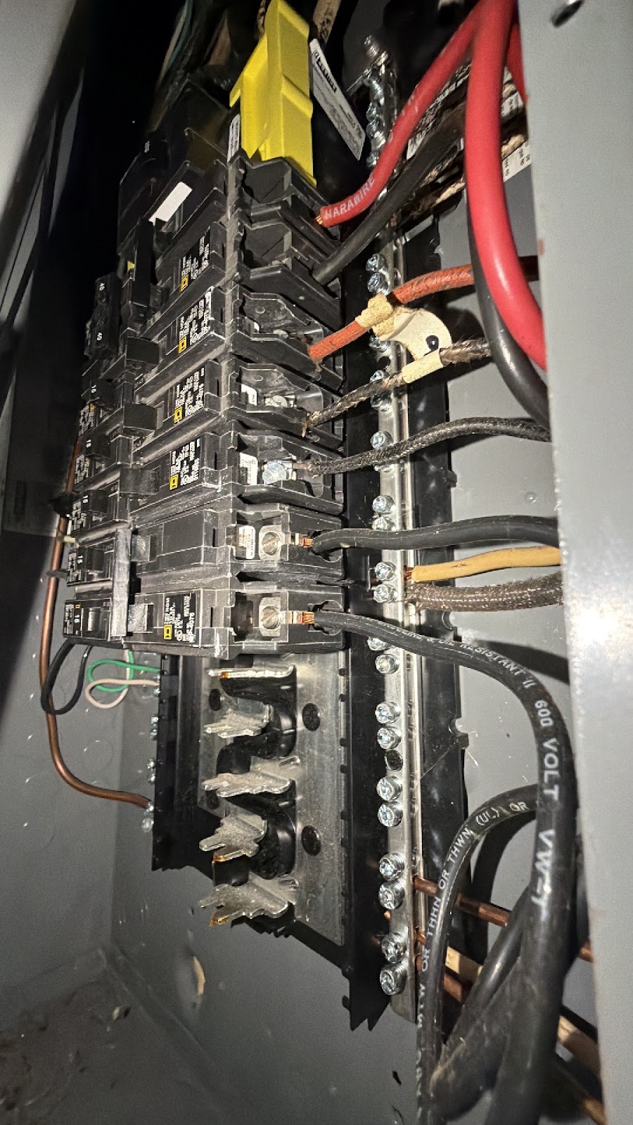 Copy of IMG_2026-03-12_16-32-55_856.jpg